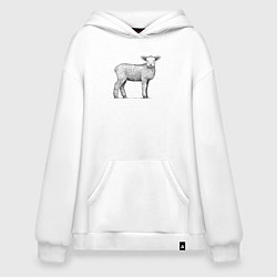 Толстовка-худи оверсайз Ягненок в профиль, цвет: белый