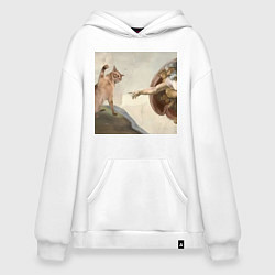 Худи оверсайз Кот сотворение Адама