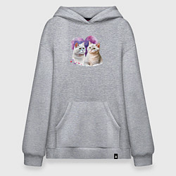 Толстовка-худи оверсайз Хвостатая любовь, цвет: меланж