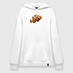 Толстовка-худи оверсайз Рыбка попугай, цвет: белый