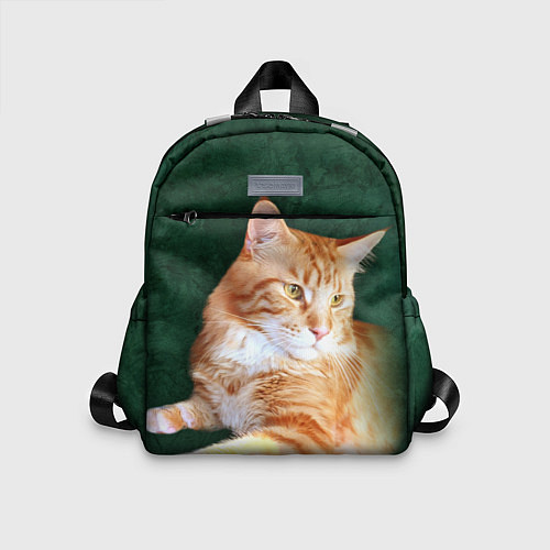 Детский рюкзак Мейн кун рыжий кот / 3D-принт – фото 1