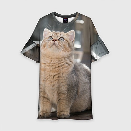 Детское платье Британская короткошёрстная кошка смотрит вверх / 3D-принт – фото 1