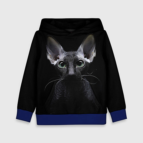 Детская толстовка Сфинкс 2 / 3D-Синий – фото 1