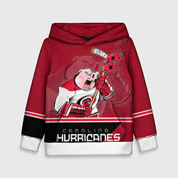Толстовка-худи детская Carolina Hurricanes, цвет: 3D-белый