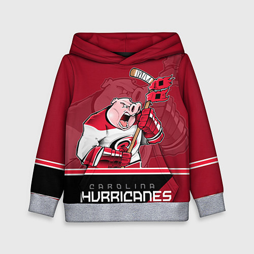 Детская толстовка Carolina Hurricanes / 3D-Меланж – фото 1