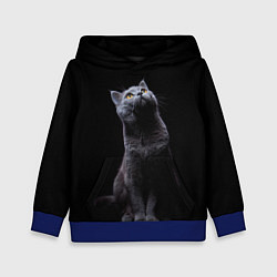 Толстовка-худи детская Кот Британец, цвет: 3D-синий