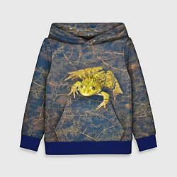 Детская толстовка Лягушка