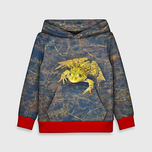 Детская толстовка Лягушка / 3D-Красный – фото 1