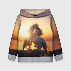 Толстовка-худи детская Лошади на закате, цвет: 3D-меланж