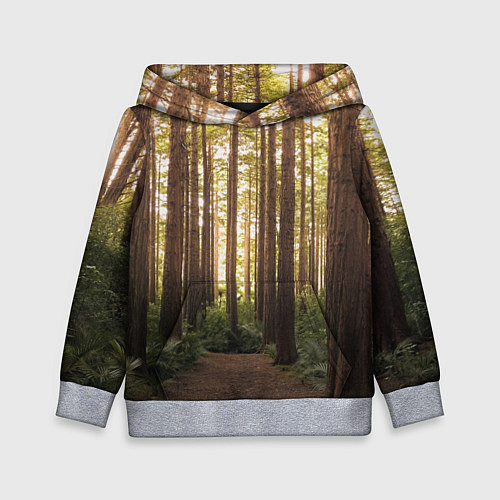 Детская толстовка Дневной лес, деревья и свет / 3D-Меланж – фото 1
