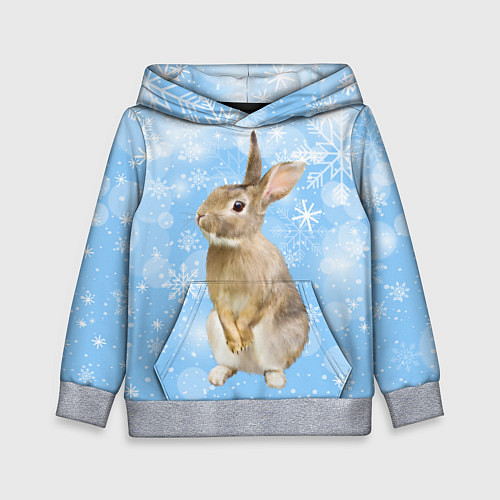 Детская толстовка Кролик и снежинки / 3D-Меланж – фото 1
