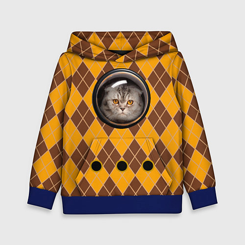 Детская толстовка Аргайл кот в переноске / 3D-Синий – фото 1