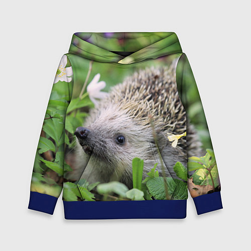 Детская толстовка Лесной ёжик в траве / 3D-Синий – фото 1