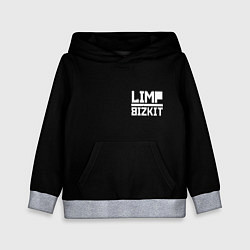 Толстовка-худи детская Lim Bizkit logo, цвет: 3D-меланж