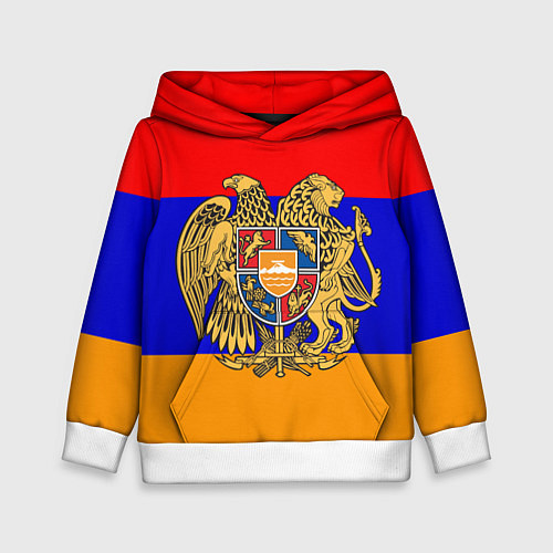 Детская толстовка Герб и флаг Армении / 3D-Белый – фото 1