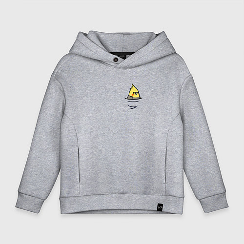 Детское худи оверсайз Попугай в кармане / Меланж – фото 1
