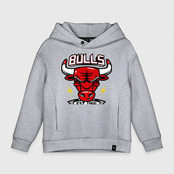 Толстовка оверсайз детская Chicago Bulls est. 1966, цвет: меланж