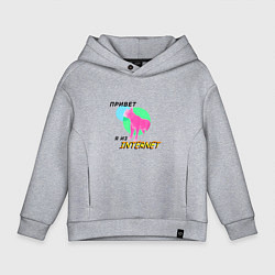 Толстовка оверсайз детская Привет я из internet, цвет: меланж
