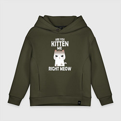 Детское худи оверсайз Ты издеваешься надо мной? игра слов Are you kitten