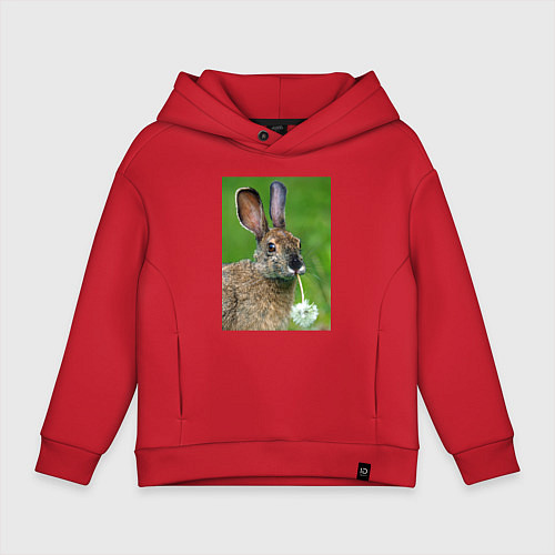 Детское худи оверсайз Зайчик с одуванчиком / Красный – фото 1