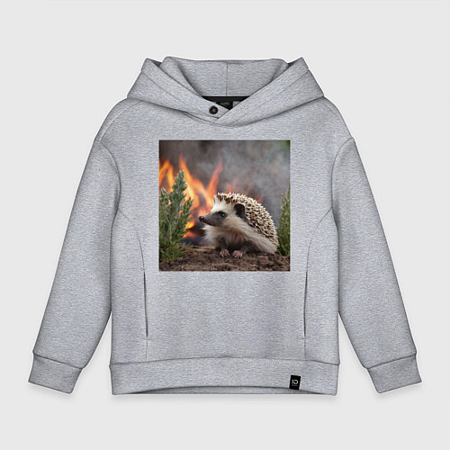 Детское худи оверсайз Ёжик в огне / Меланж – фото 1