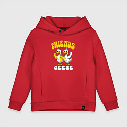 Детское худи оверсайз Гуси два веселых друга