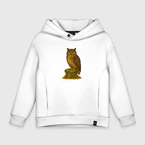 Детское худи оверсайз Сказочная сова / Белый – фото 1