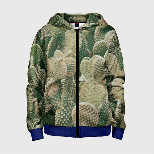 Детская толстовка на молнии Поле кактусов / 3D-Синий – фото 1