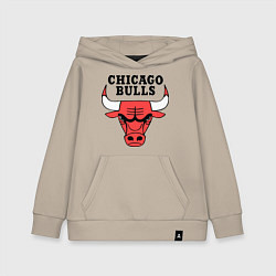 Детская толстовка-худи Chicago Bulls