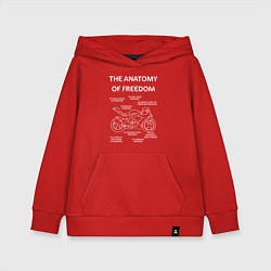 Толстовка детская хлопковая The Anatomy of Freedom, цвет: красный