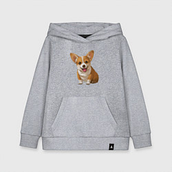 Толстовка детская хлопковая Корги, цвет: меланж