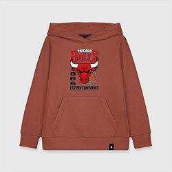 Детская толстовка-худи Chicago Bulls NBA