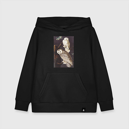 Детская толстовка-худи Snowy Owl Сова / Черный – фото 1