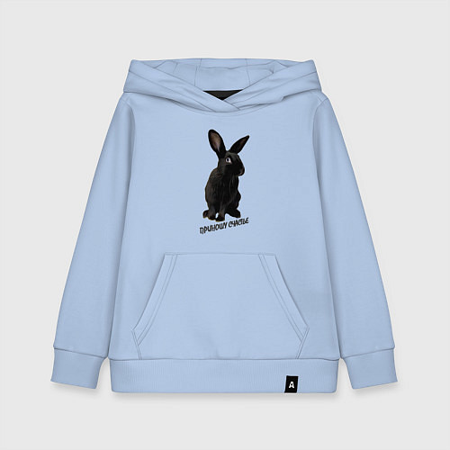 Детская толстовка-худи Приношу счастье, черный кролик, символ 2023 года / Мягкое небо – фото 1