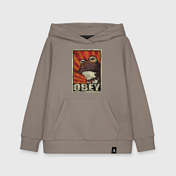 Детская толстовка-худи Obey frog