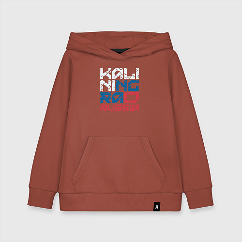 Детская толстовка-худи Россия Калиниград / Кирпичный – фото 1