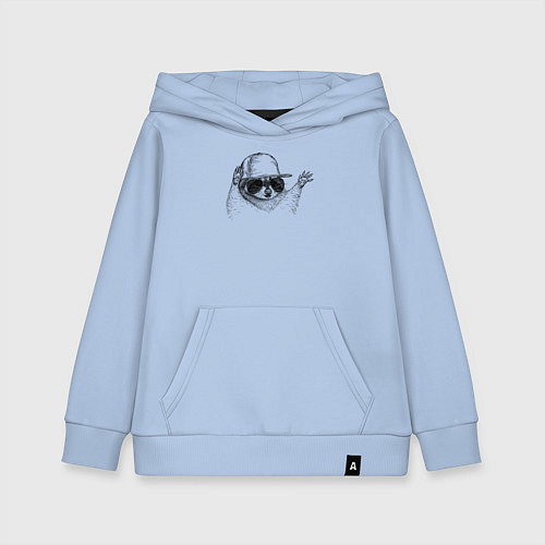 Детская толстовка-худи Енот репер / Мягкое небо – фото 1