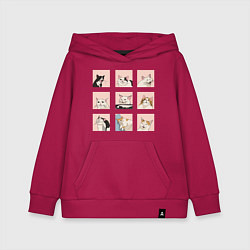 Толстовка детская хлопковая Мемные коты, цвет: маджента