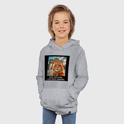 Толстовка детская хлопковая Рыжий кот: хотел как лучше получилось идеально, цвет: меланж — фото 2