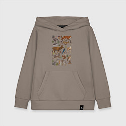 Толстовка детская хлопковая Лесные животные и птицы, цвет: утренний латте