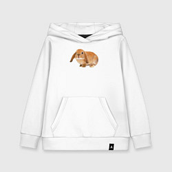 Толстовка детская хлопковая Рыжий пушистый кролик, цвет: белый