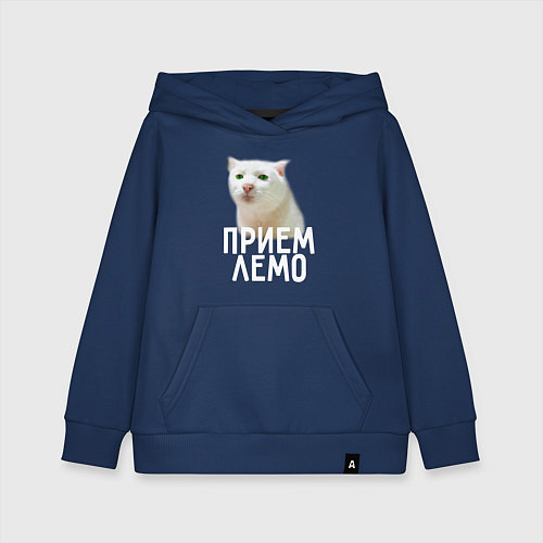Детская толстовка-худи Приемлемо котик / Тёмно-синий – фото 1