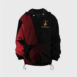 Куртка с капюшоном детская Astralis Champions, цвет: 3D-черный