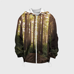 Куртка с капюшоном детская Дневной лес, деревья и свет, цвет: 3D-белый