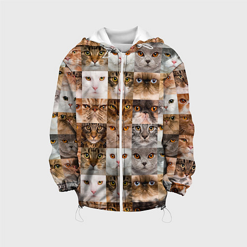 Детская куртка Pedigreed cats / 3D-Белый – фото 1