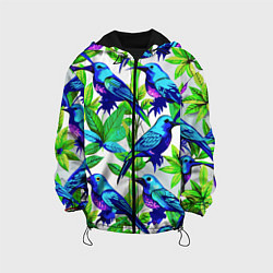 Детская куртка Паттерн маленькое синее колибри