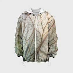 Детская куртка Прожилки листика