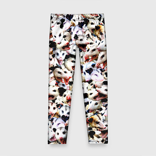 Детские легинсы Опоссумы / 3D-принт – фото 1