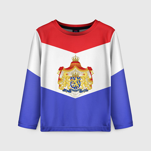 Детский лонгслив Флаг и герб Голландии / 3D-принт – фото 1