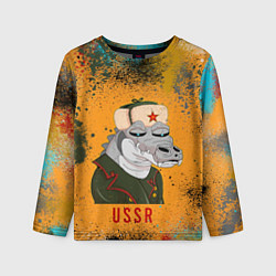 Лонгслив детский Nft token art USSR, цвет: 3D-принт